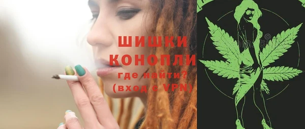 соль ск Богданович