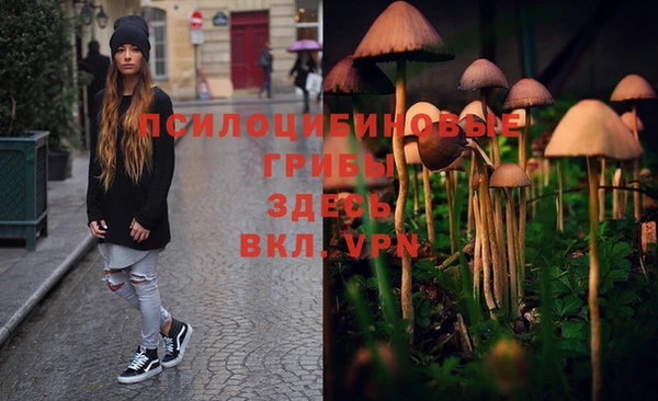 винт Беломорск
