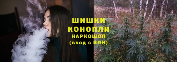 соль ск Богданович