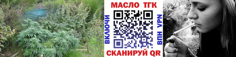 ТГК концентрат  Болхов 