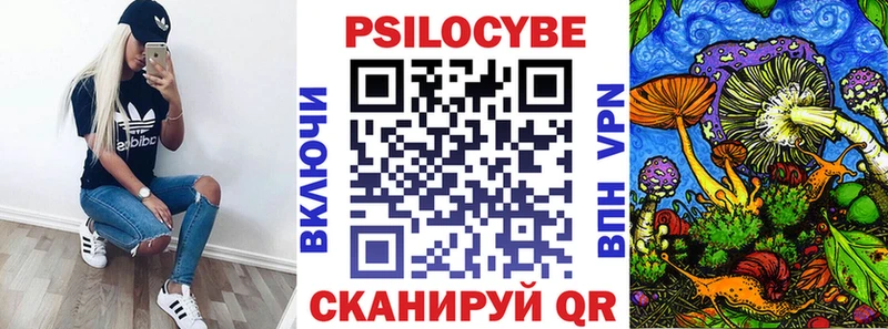 Псилоцибиновые грибы MAGIC MUSHROOMS  сколько стоит  Болхов 